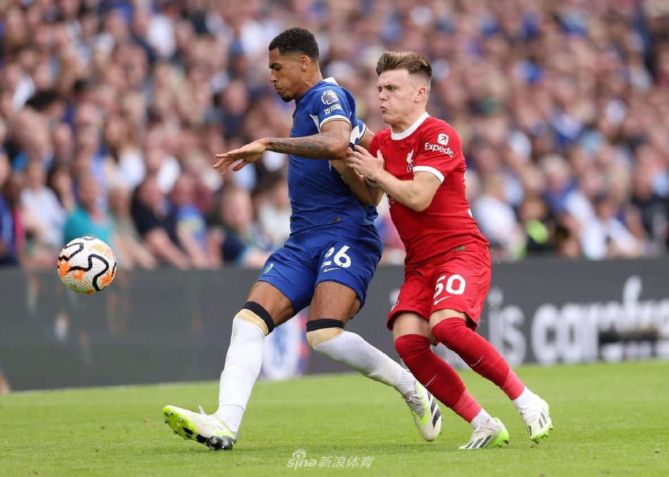 数和回弹值 数和回弹值